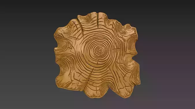 Stump Wood slice Relief
