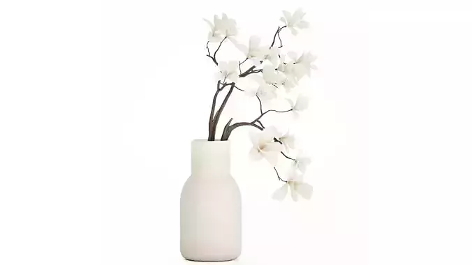 Bouquet Flowers Branches Of Blooming  Magnolia 530 3D model