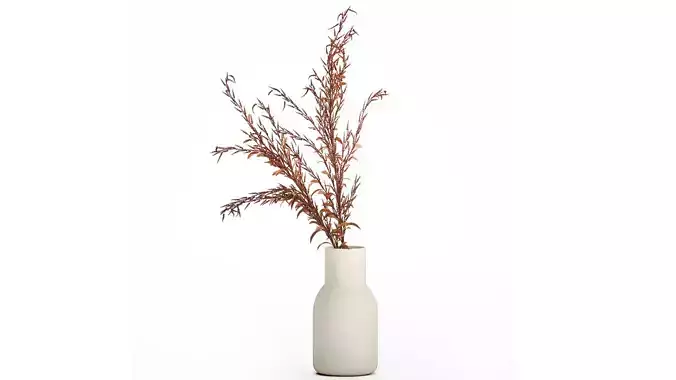 Bouquet Of Dried Flowers Red Branches Of Solidago 531