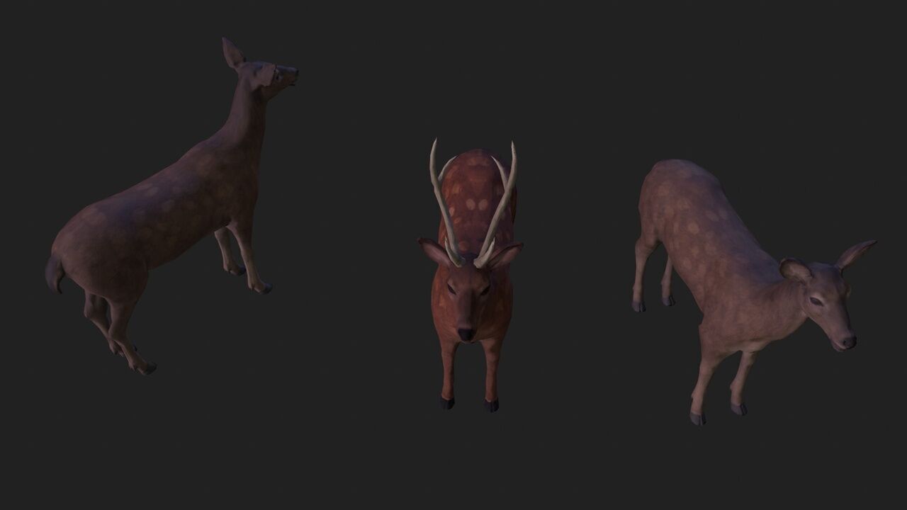 Sika deer complete animation Low-poly 3D model_2