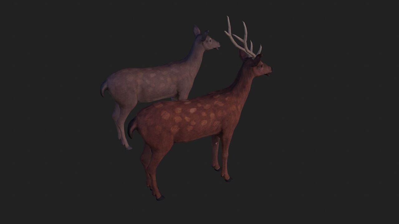 Sika deer complete animation Low-poly 3D model_6