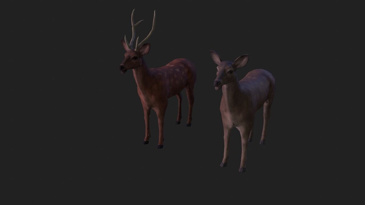 Sika deer complete animation Low-poly 3D model_5