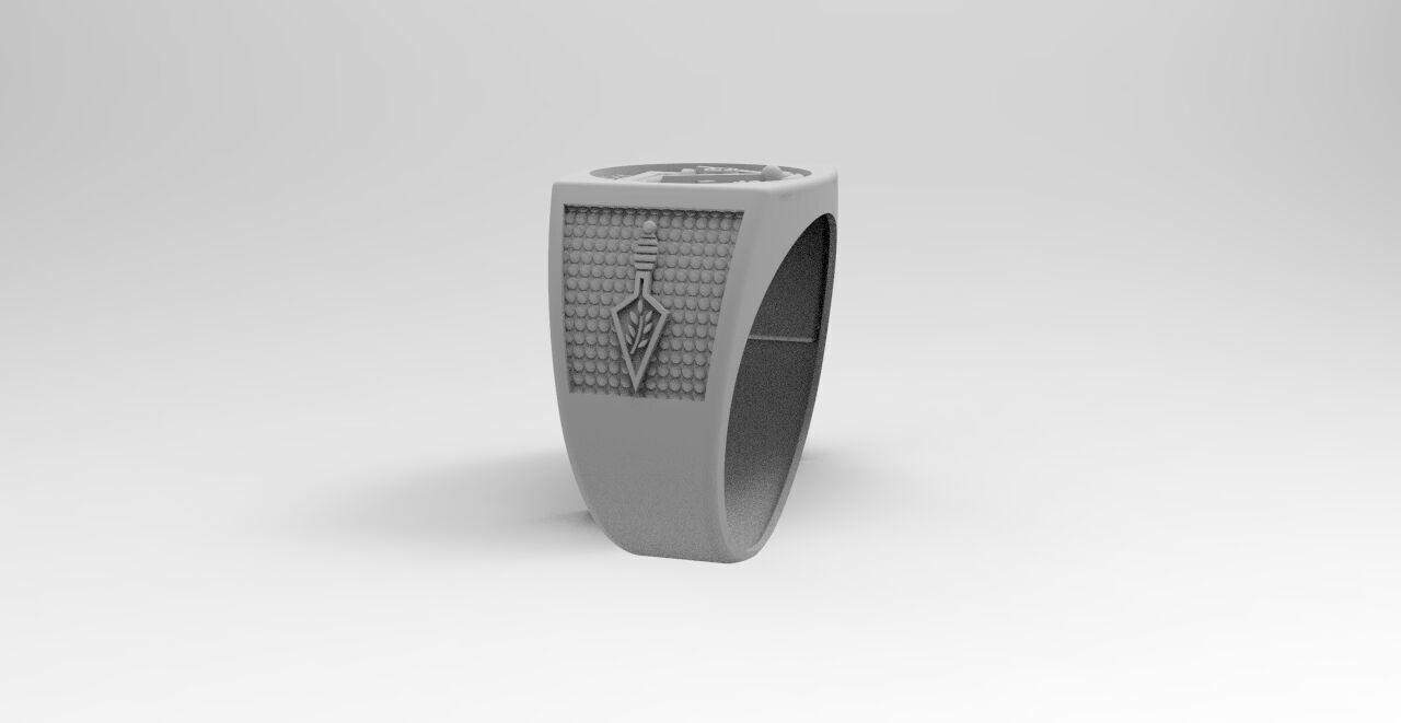 ANILLO MASON  3D print model_2