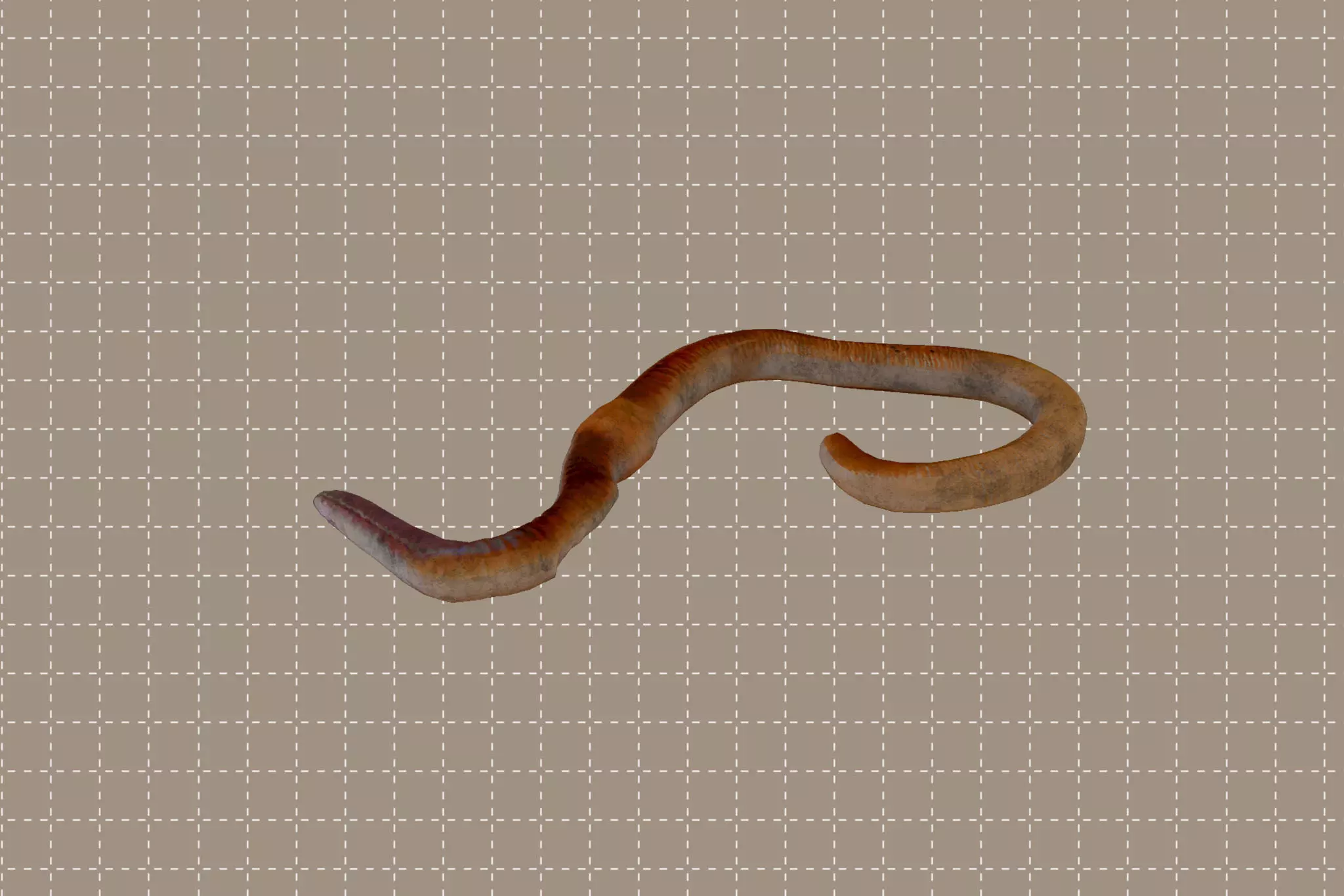 Earthworm Low-poly 3D model