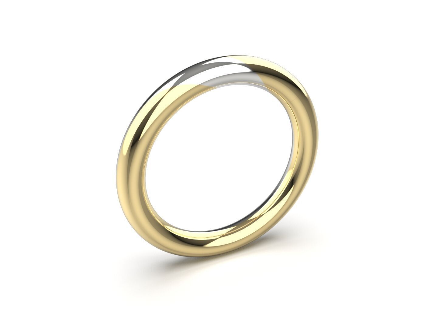 ALIANCA DUPLA TORCIDO  3D model_1