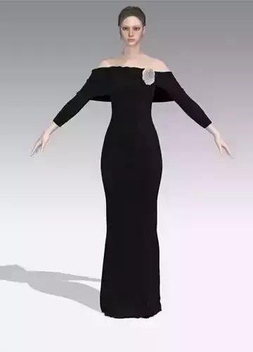 dress asymetric collar 