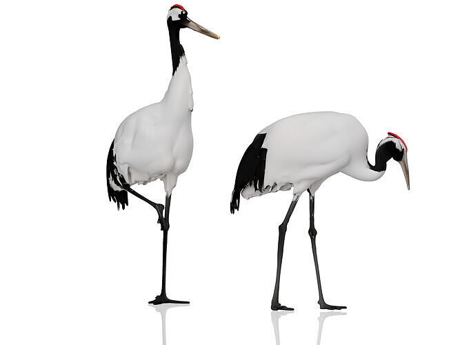 white crane 3D model