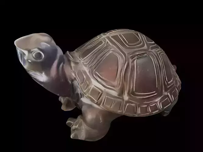 tortoise