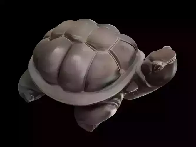 Turtle