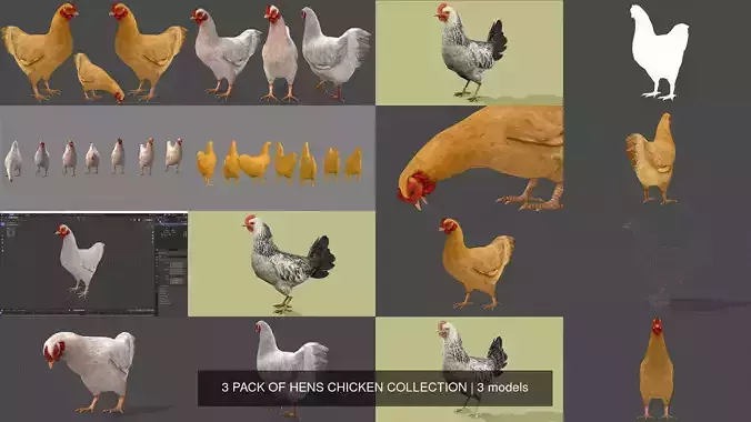 3 PACK OF HENS CHICKEN COLLECTION 