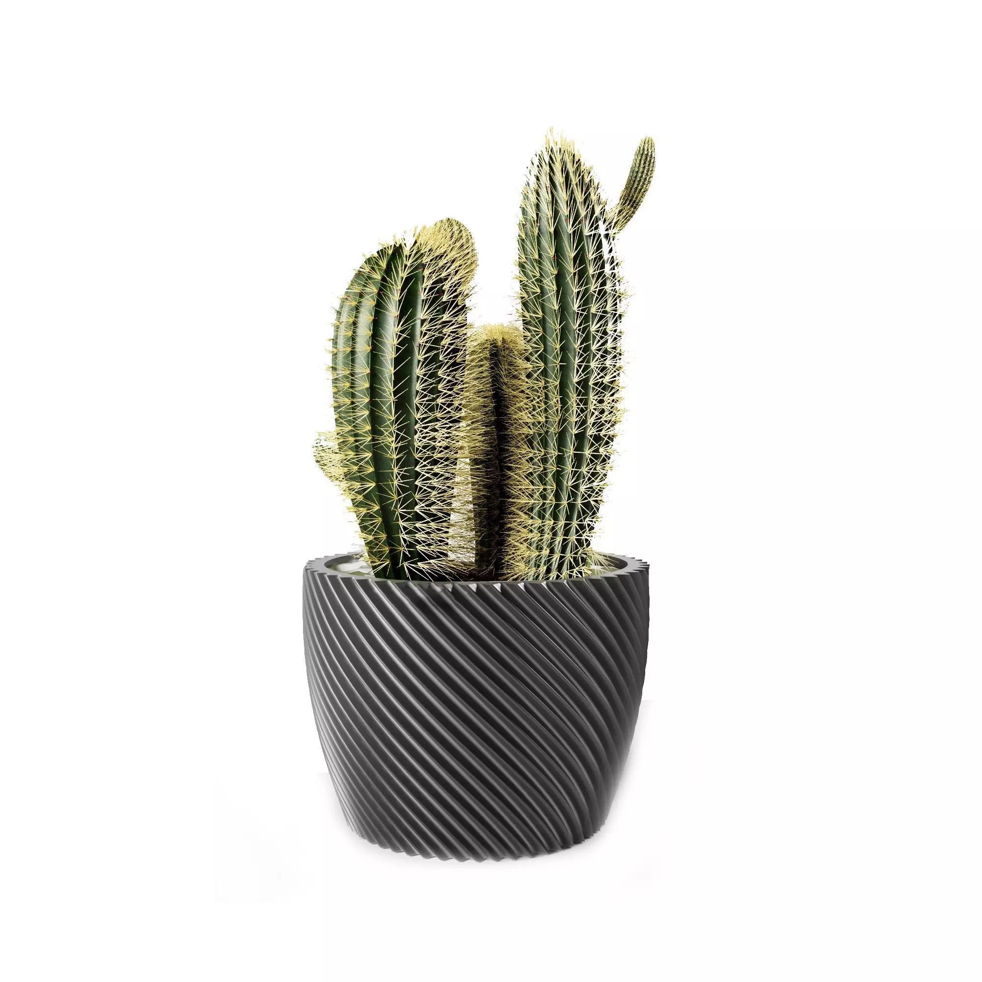 VASE SPIRAL 3D print model