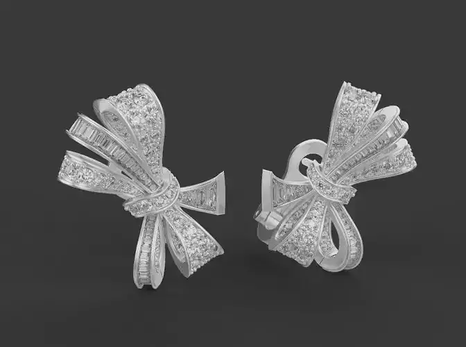 Earrings 61840