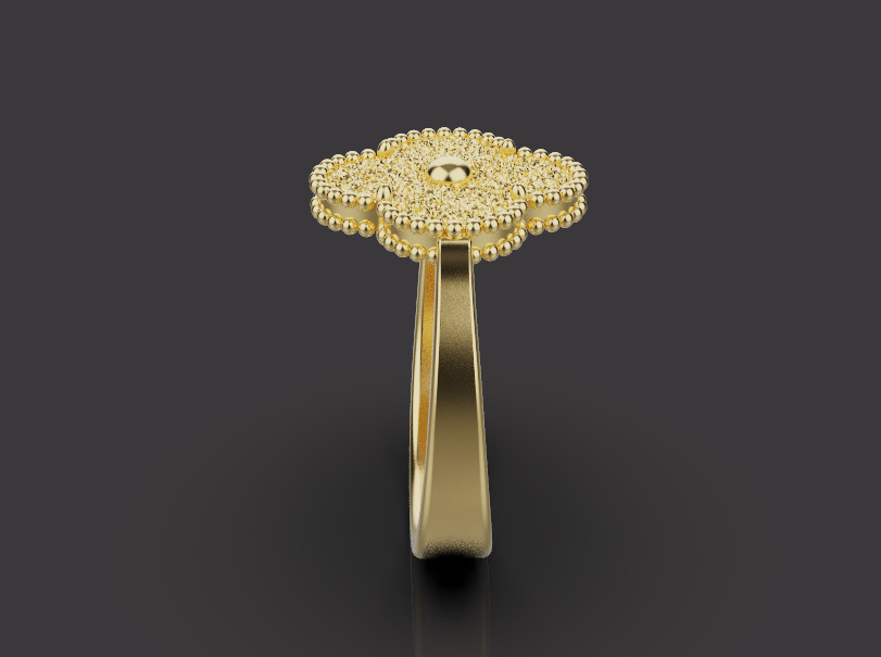 Ring 67468 3D print model_2