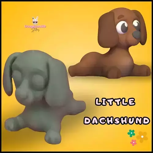 Little Dachshund