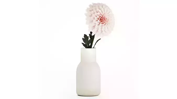 White Flower Bouquet Of Chrysanthemum In A Vase 536