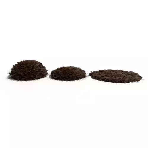 Walnut Leaf Pile 3D model