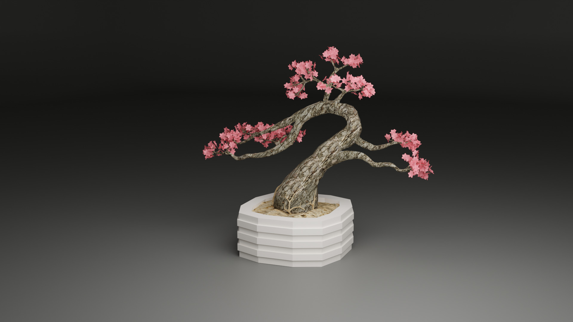 Sakura Bonsai 3D model_1