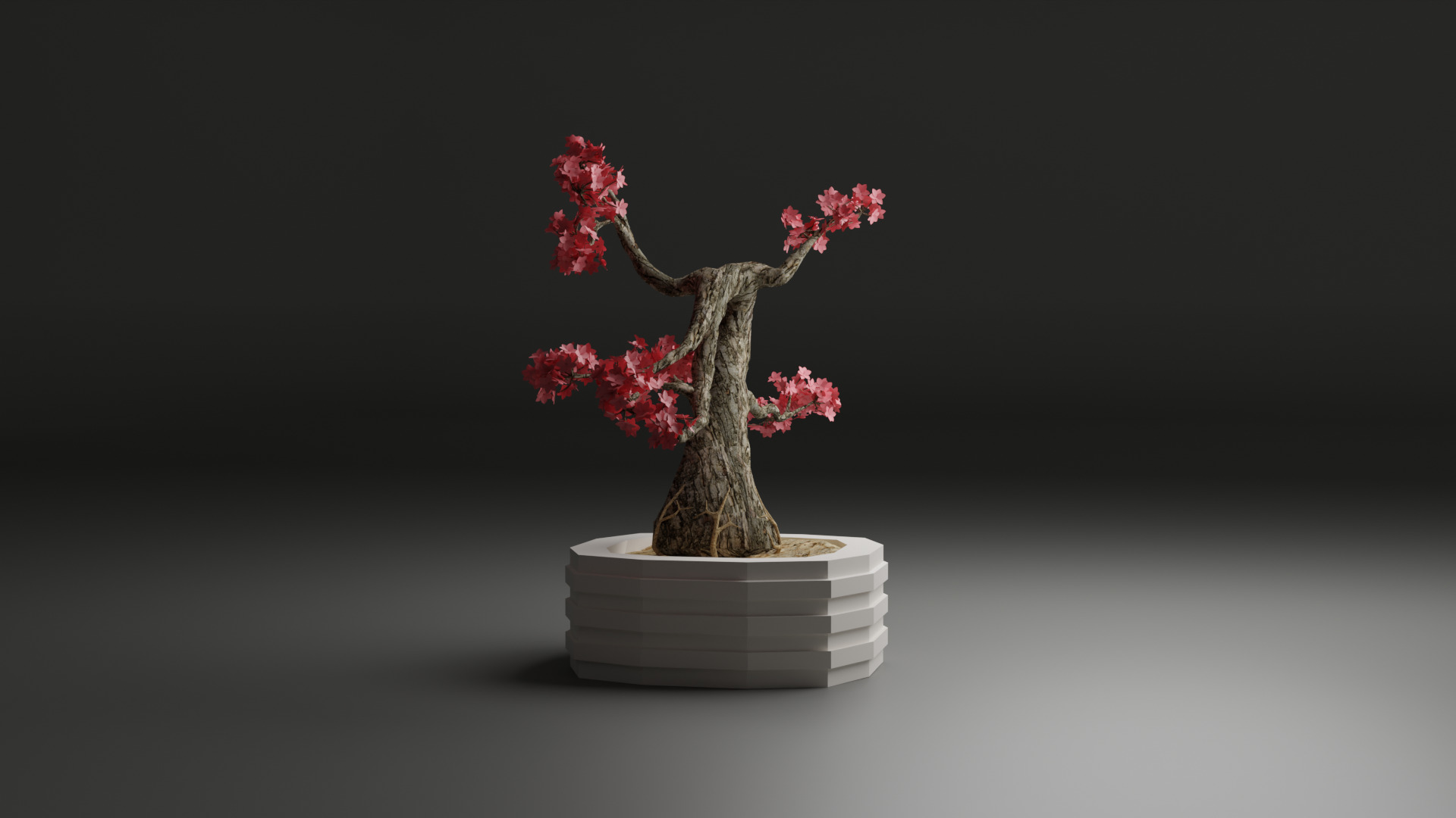Sakura Bonsai 3D model_10
