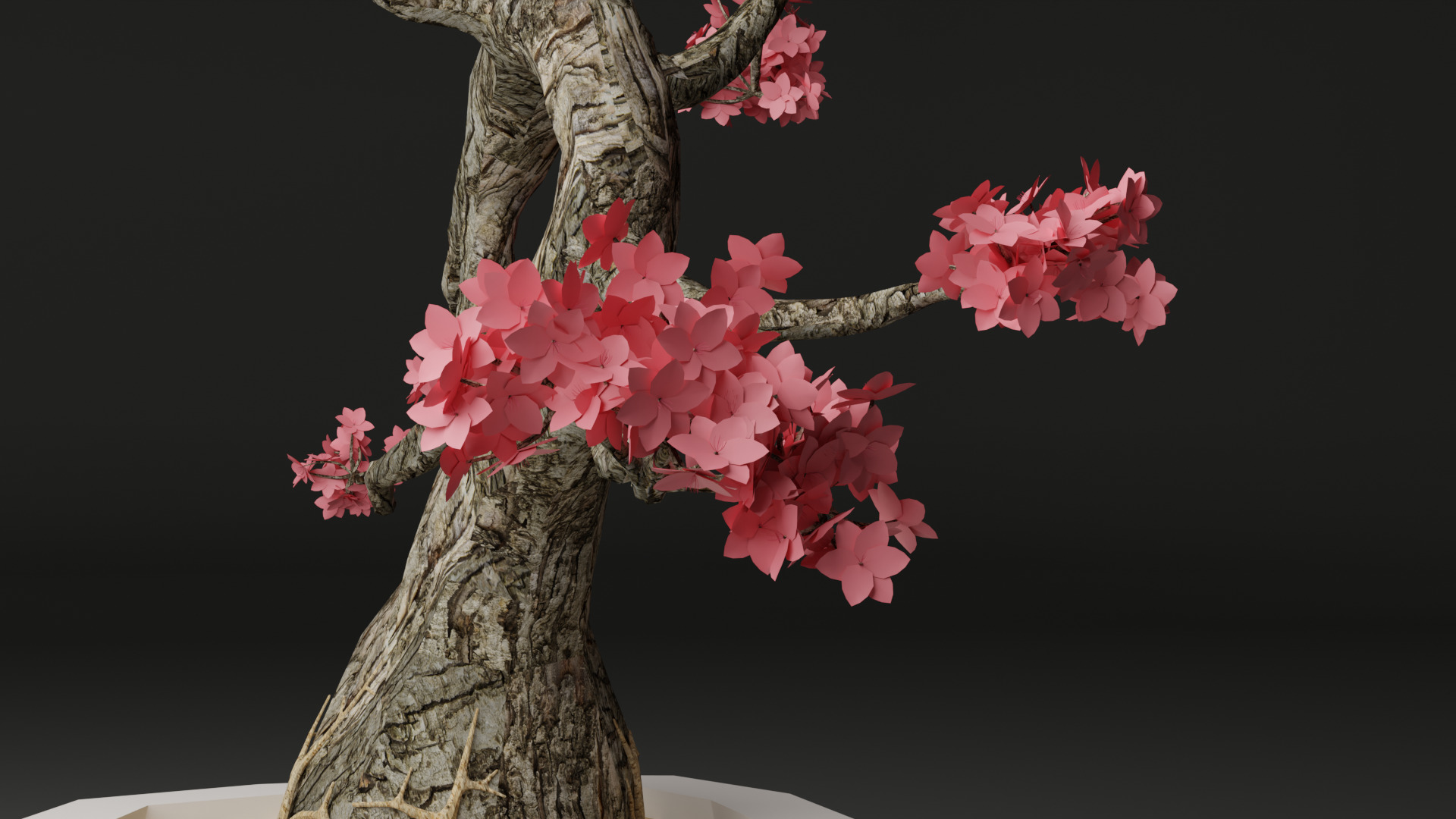 Sakura Bonsai 3D model_16