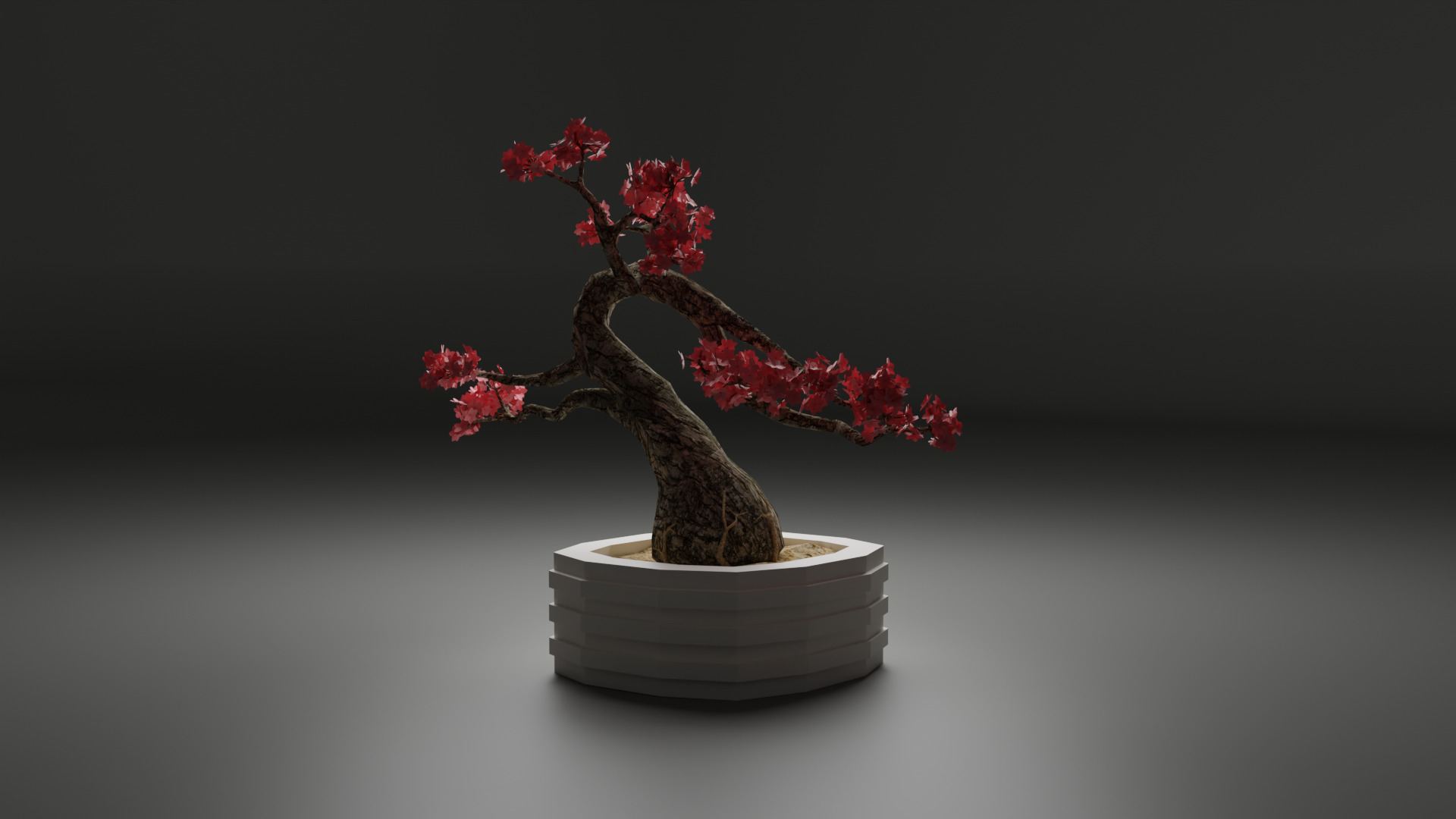 Sakura Bonsai 3D model_8