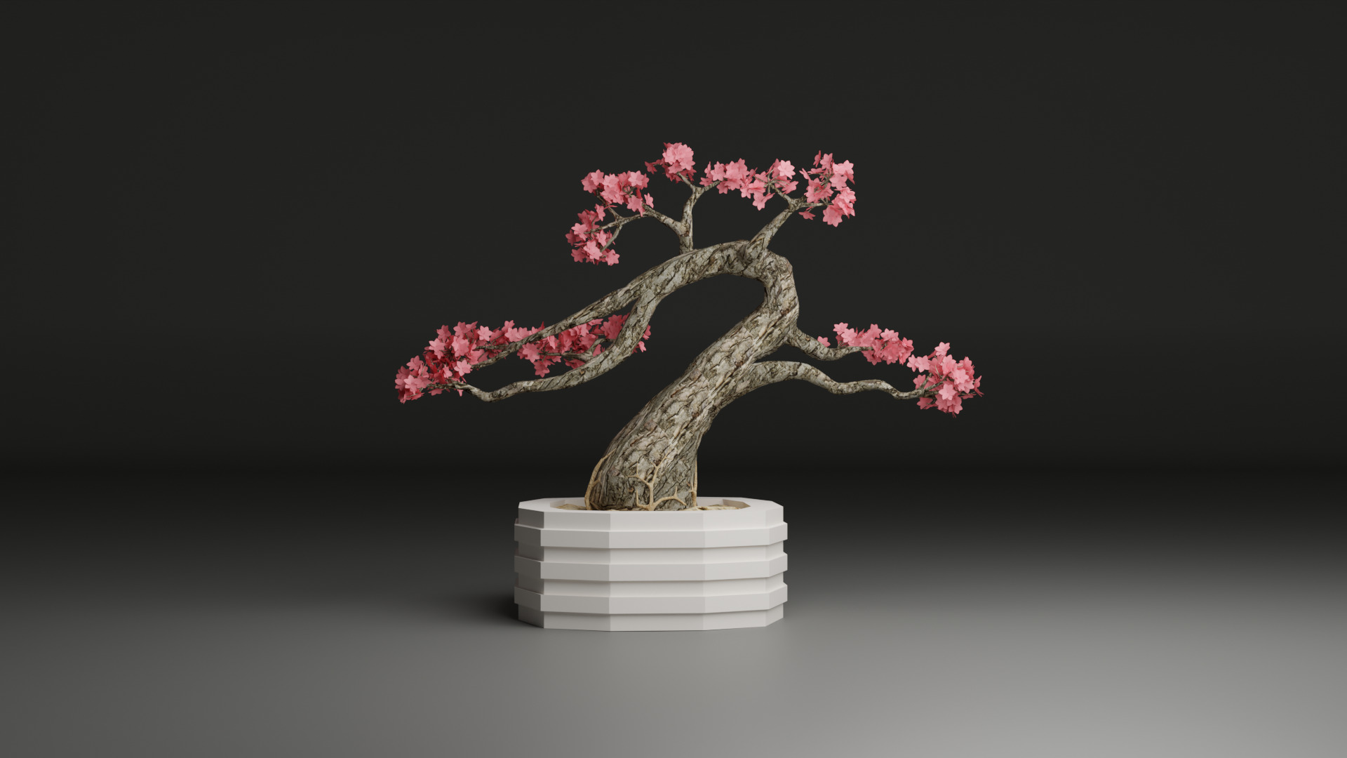 Sakura Bonsai 3D model_12