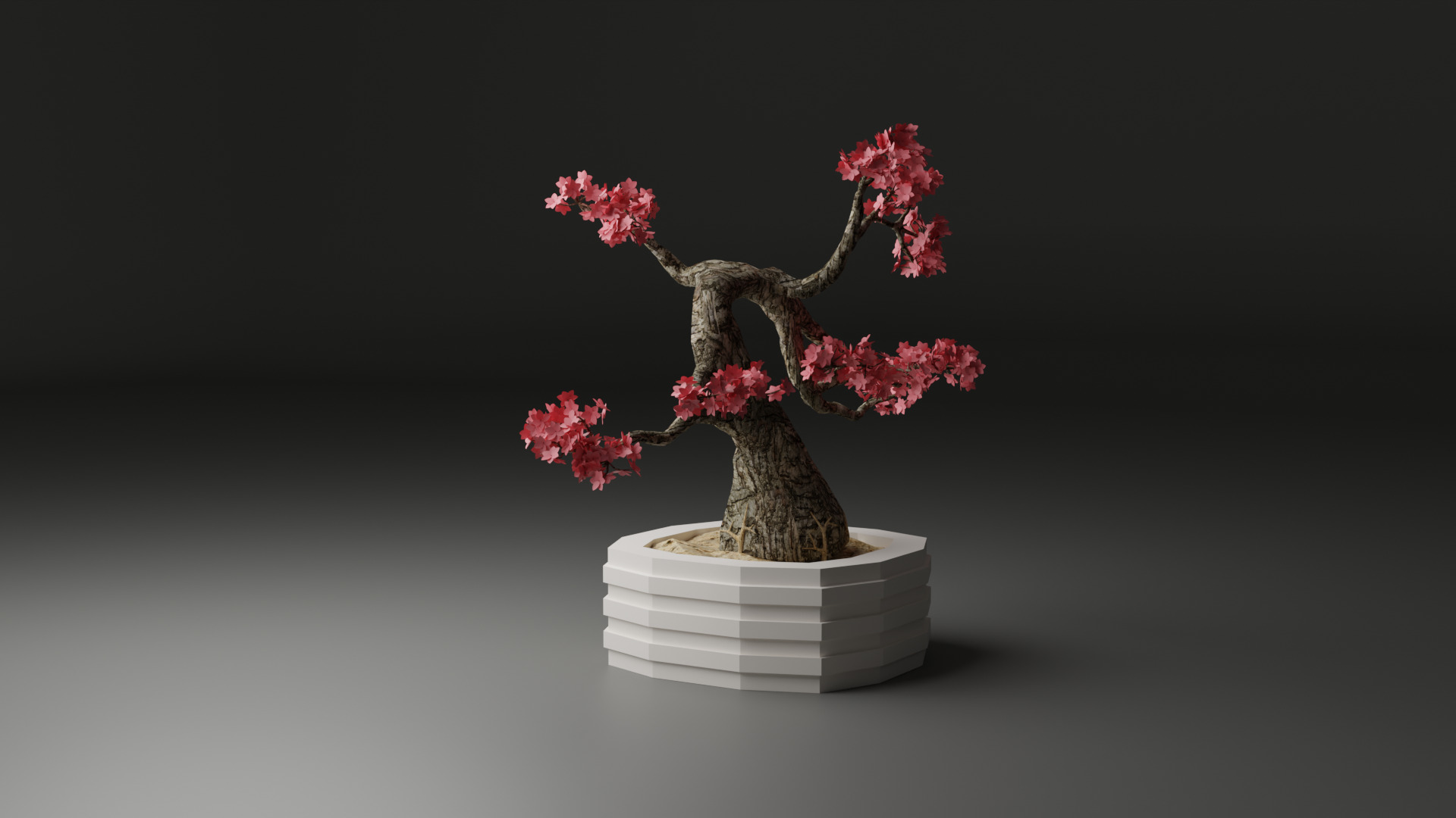 Sakura Bonsai 3D model_5
