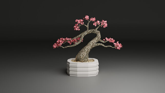 Sakura Bonsai 3D model