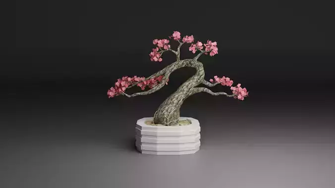 Sakura Bonsai 3D model