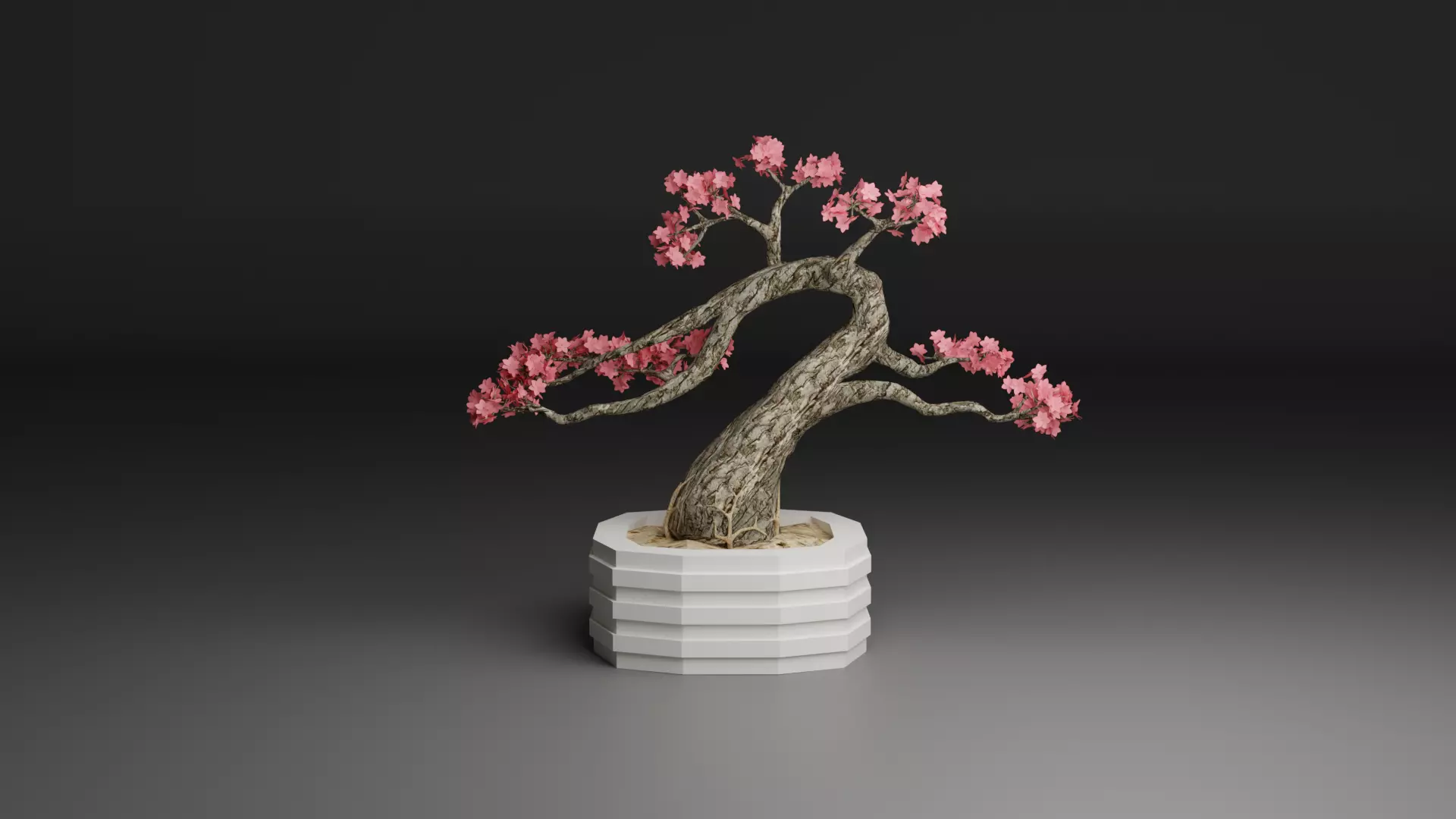 Sakura Bonsai 3D model_0
