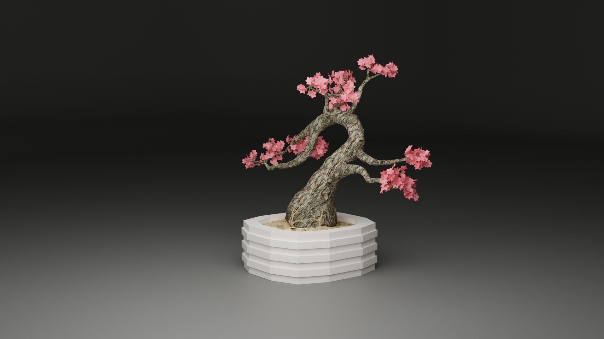 Sakura Bonsai 3D model_2