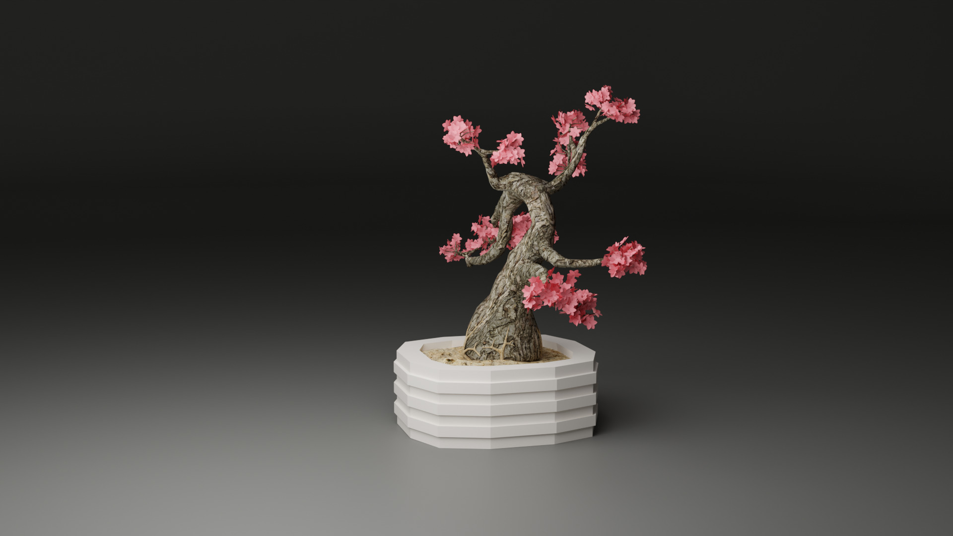 Sakura Bonsai 3D model_3