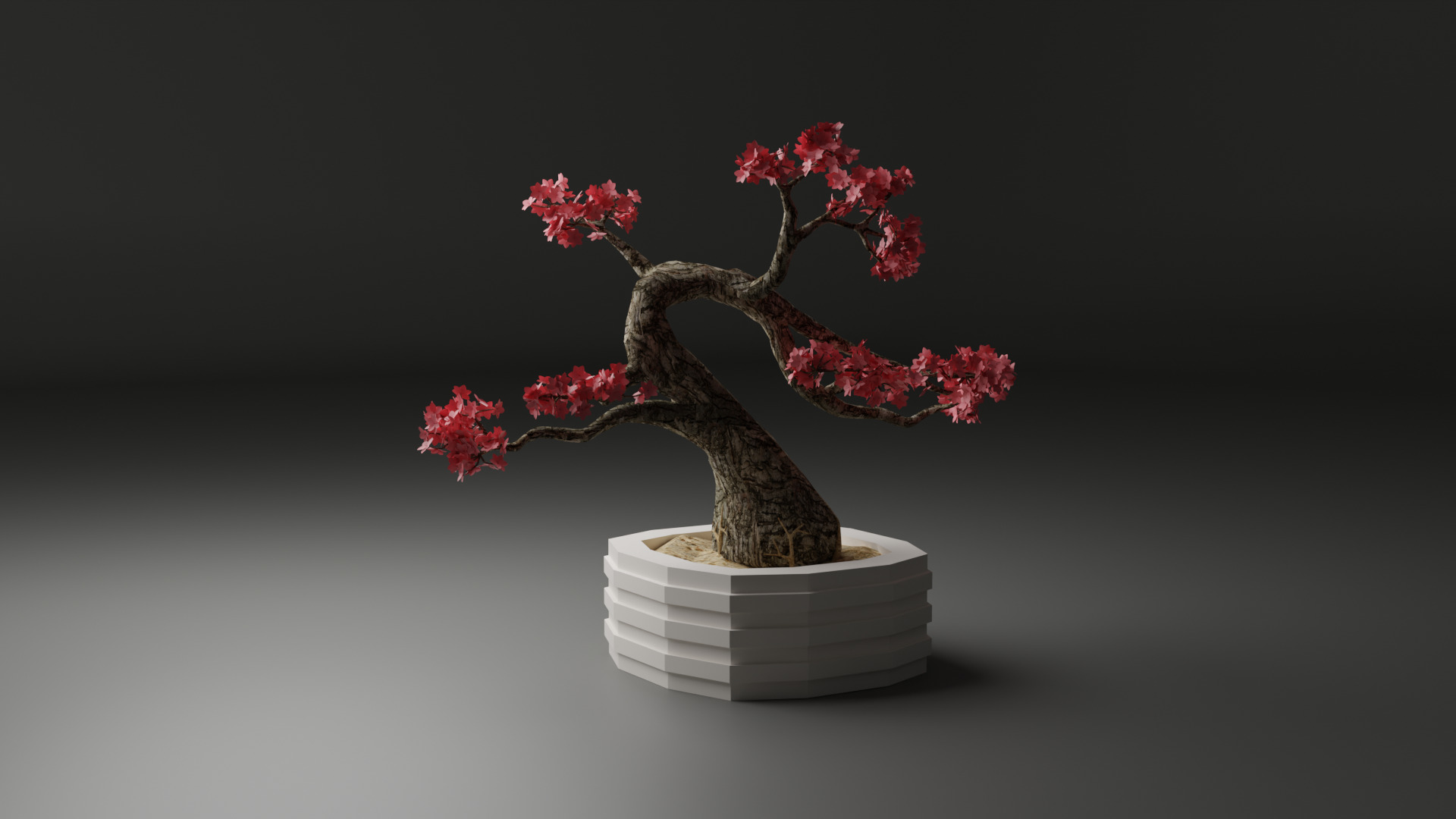 Sakura Bonsai 3D model_6