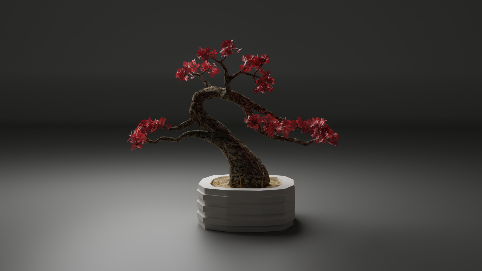 Sakura Bonsai 3D model_7