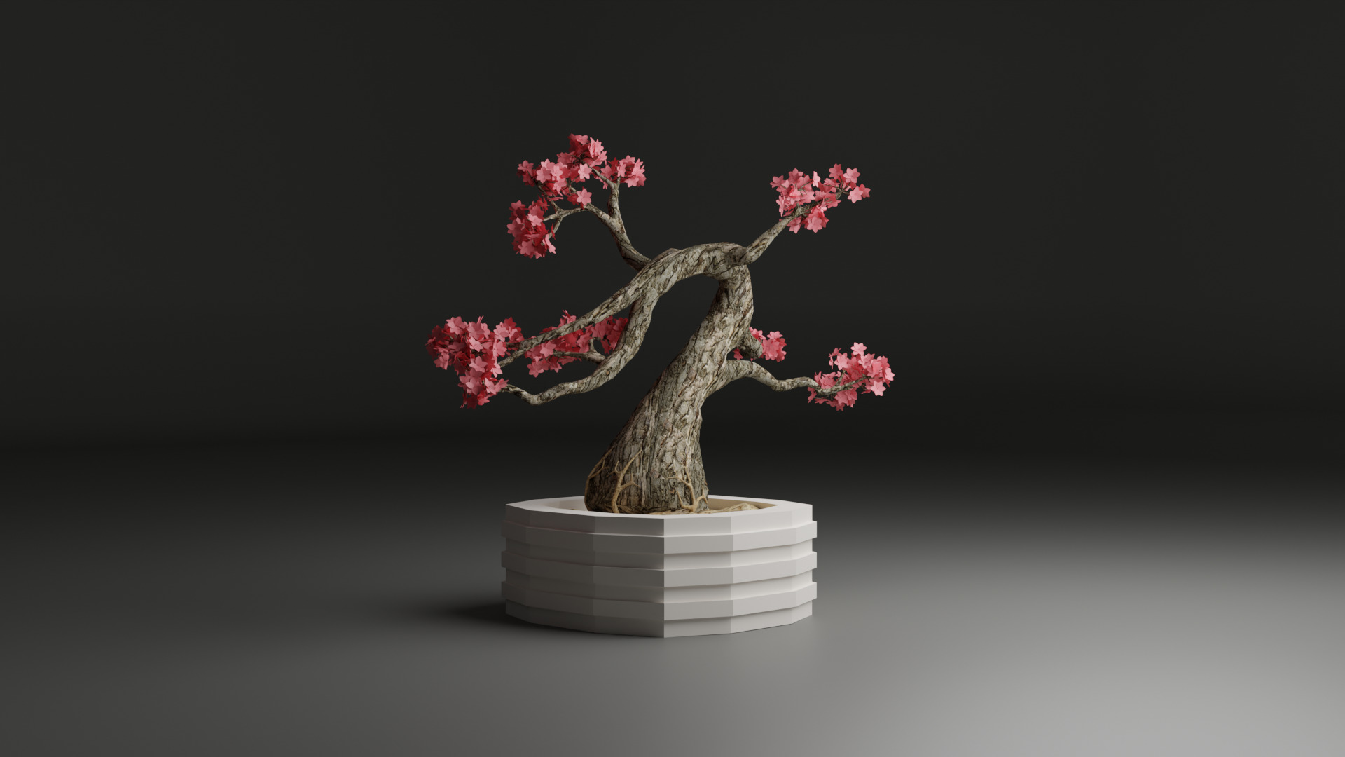 Sakura Bonsai 3D model_11