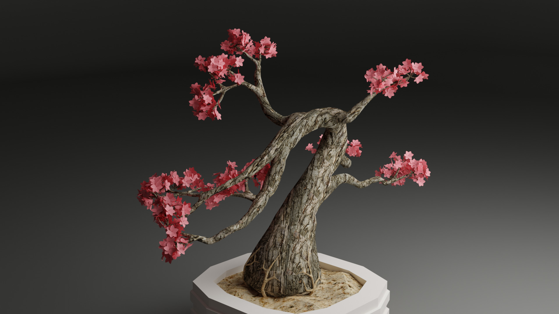 Sakura Bonsai 3D model_15