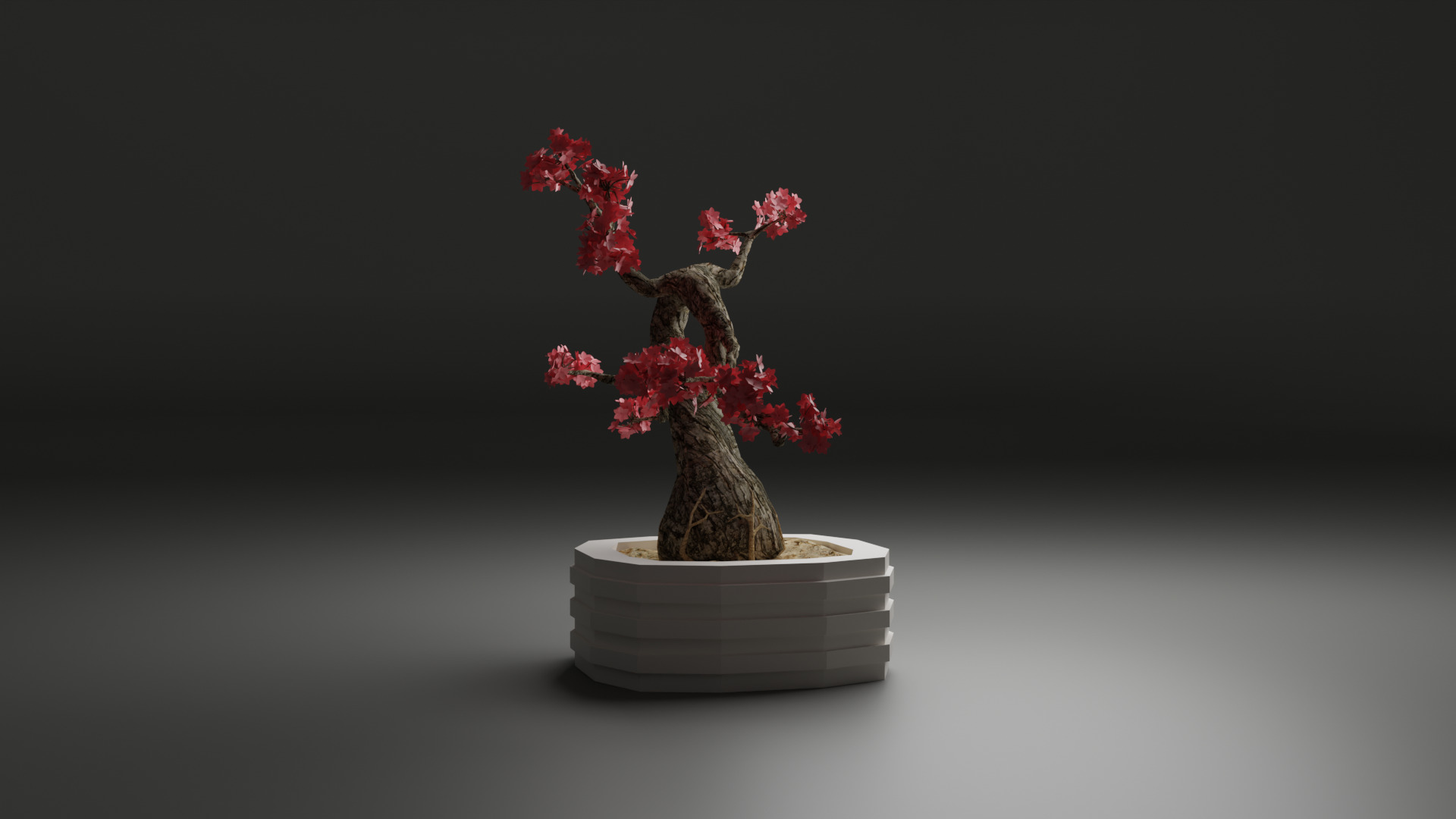 Sakura Bonsai 3D model_9
