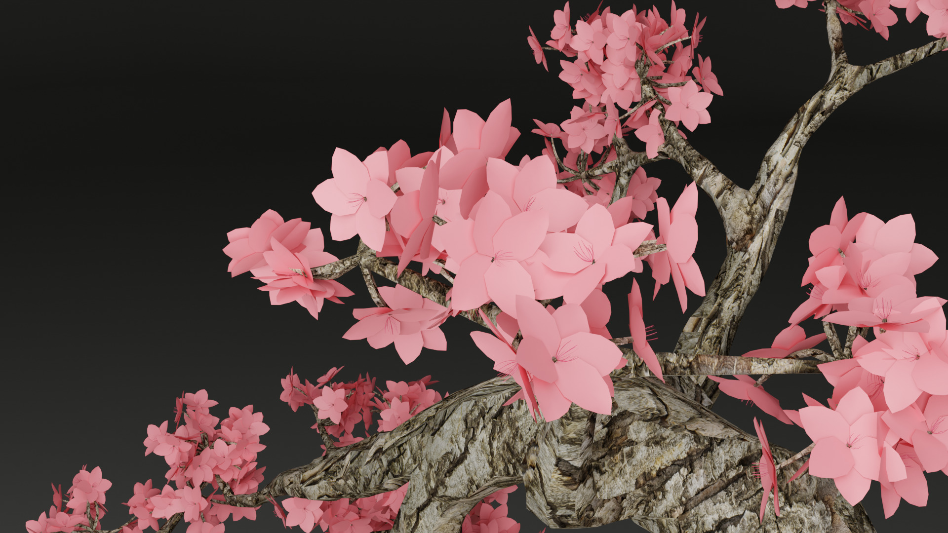 Sakura Bonsai 3D model_14