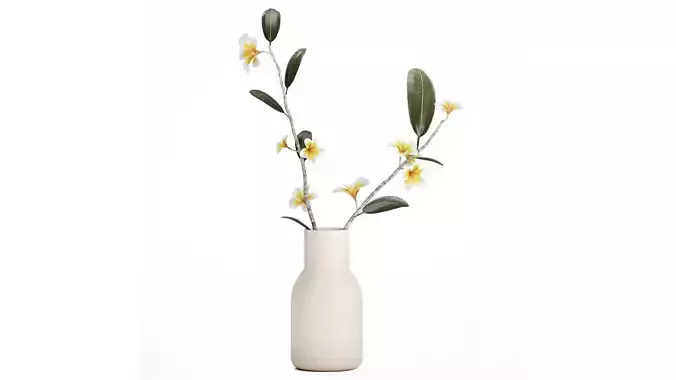 exotic bouquet of branches Plumeria frangipani in a vase 538