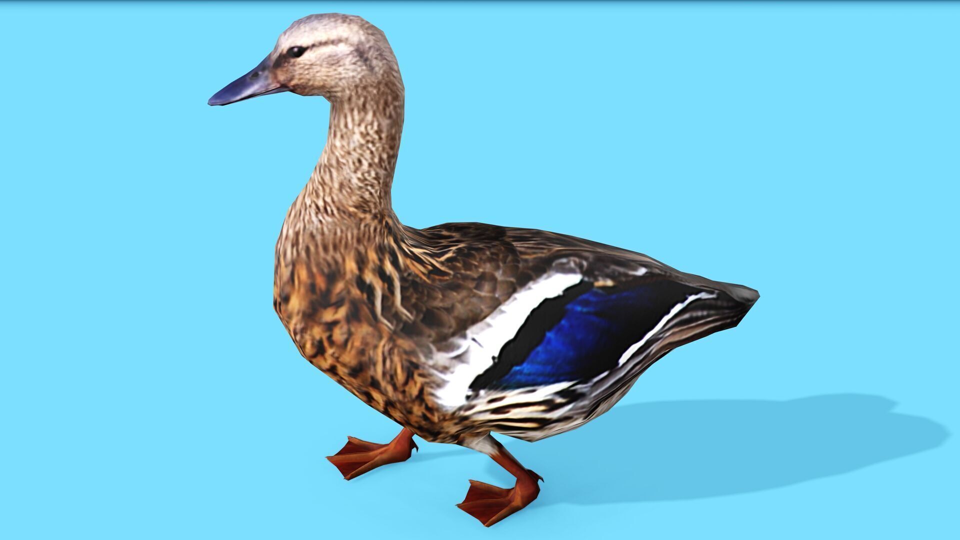 BROWN DUCK RIGGED ANIMAED 3 Low-poly 3D model_3