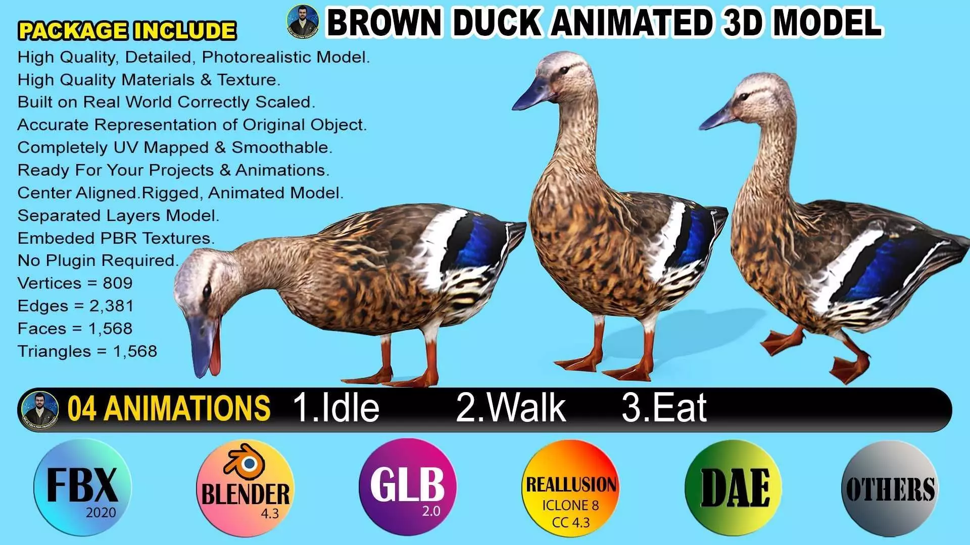 BROWN DUCK RIGGED ANIMAED 3 Low-poly 3D model_0