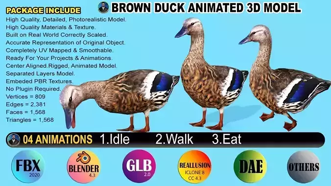 BROWN DUCK RIGGED ANIMAED 3 Low-poly 3D model