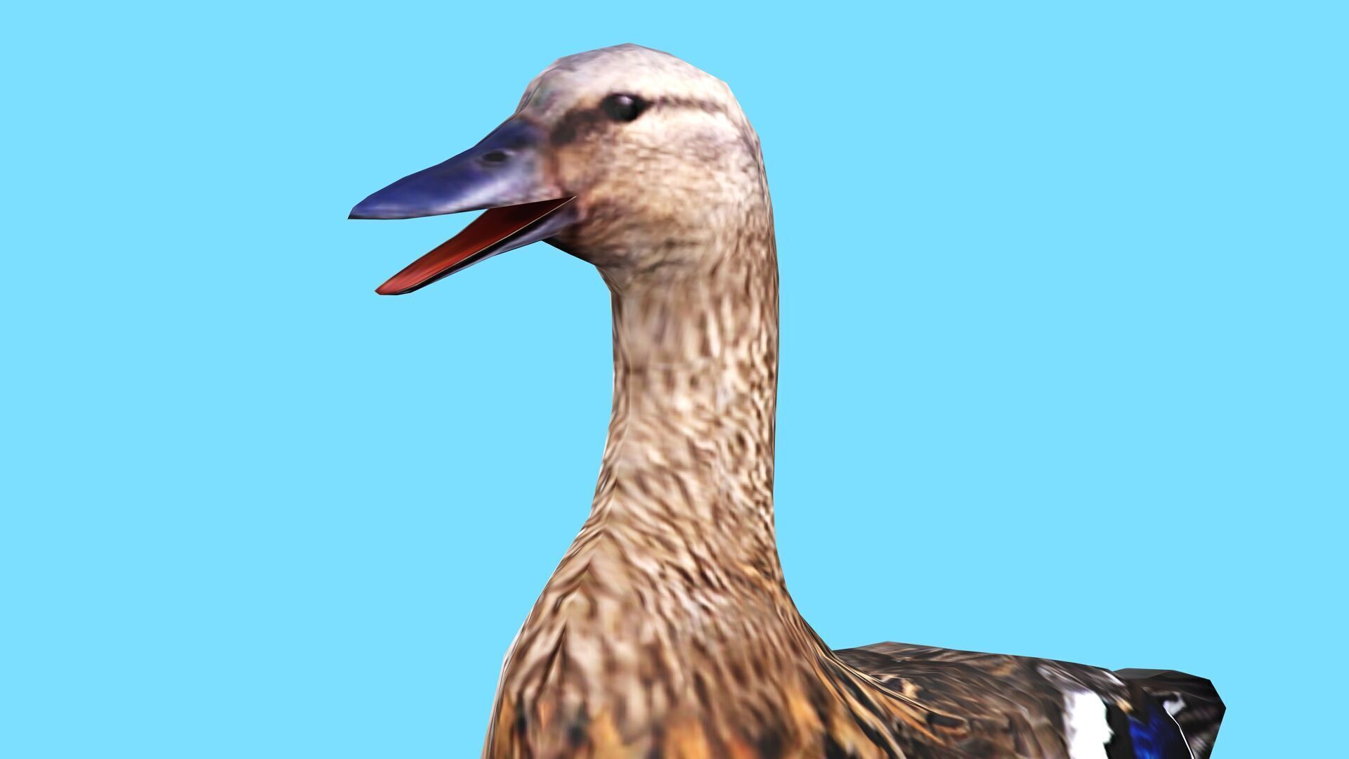 BROWN DUCK RIGGED ANIMAED 3 Low-poly 3D model_8