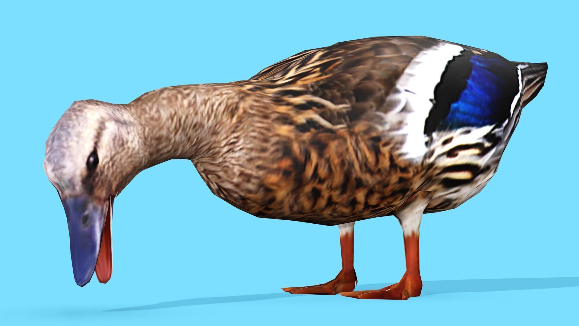 BROWN DUCK RIGGED ANIMAED 3 Low-poly 3D model_5