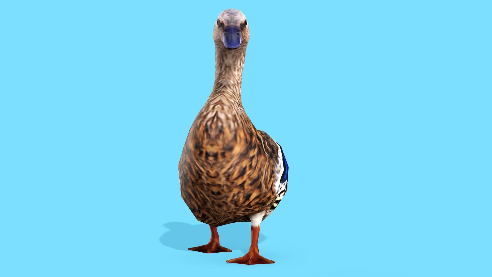 BROWN DUCK RIGGED ANIMAED 3 Low-poly 3D model_2