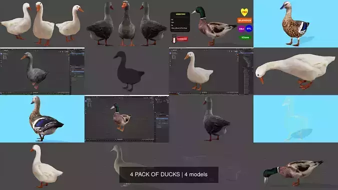 4 PACK OF DUCKS 3D Model Collection