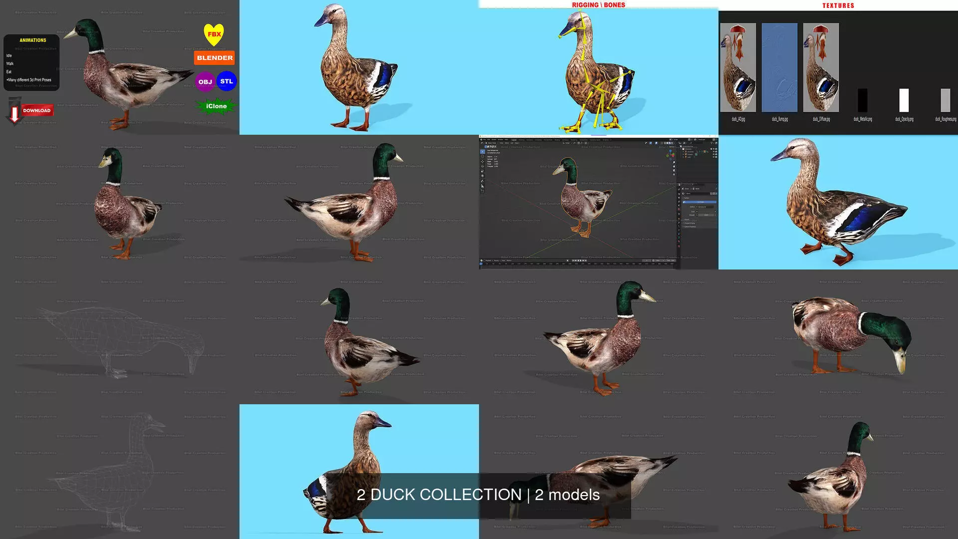 2 DUCK COLLECTION _0