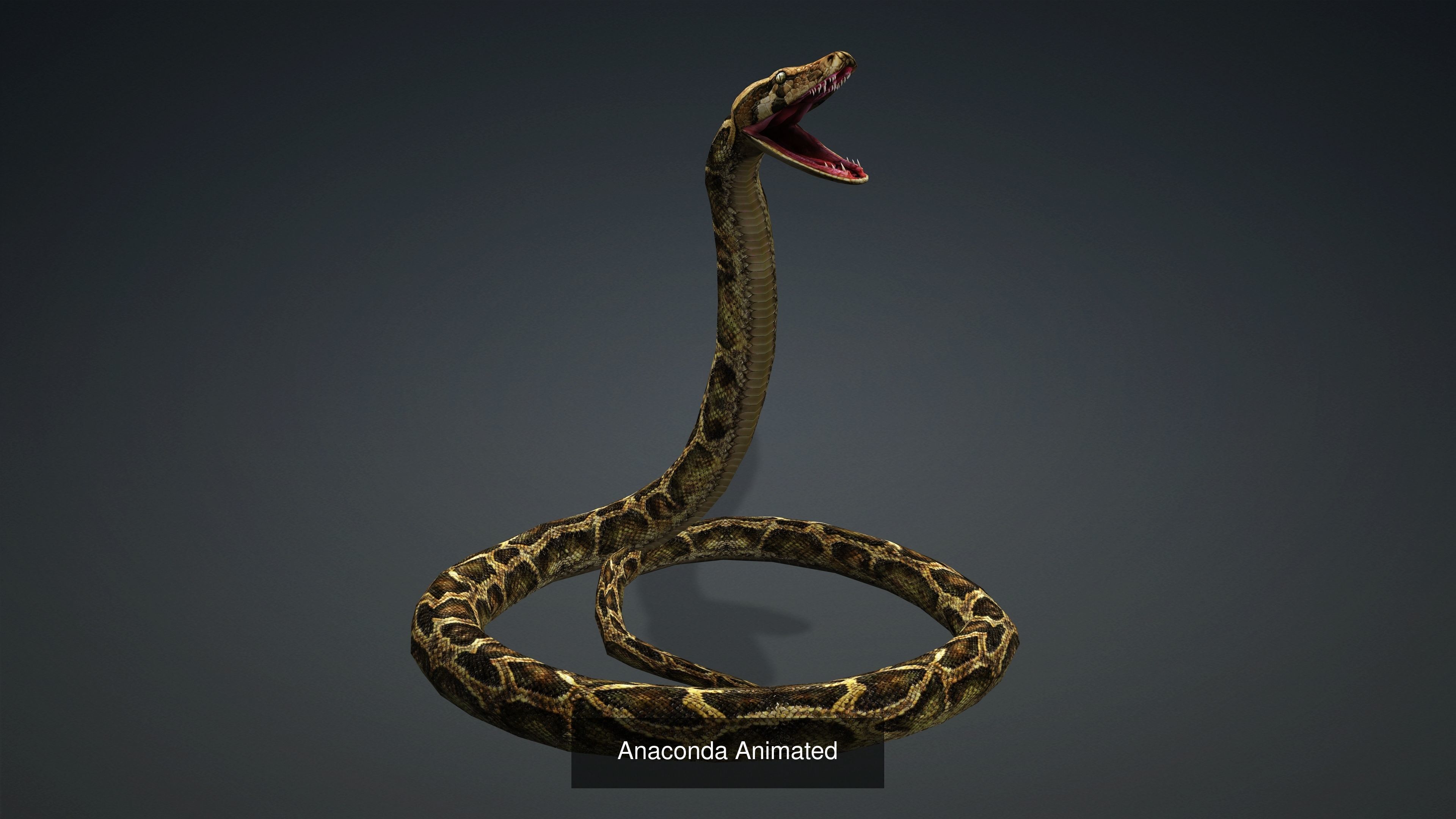 3 PACK OF SNAKES 3D Model Collection_3