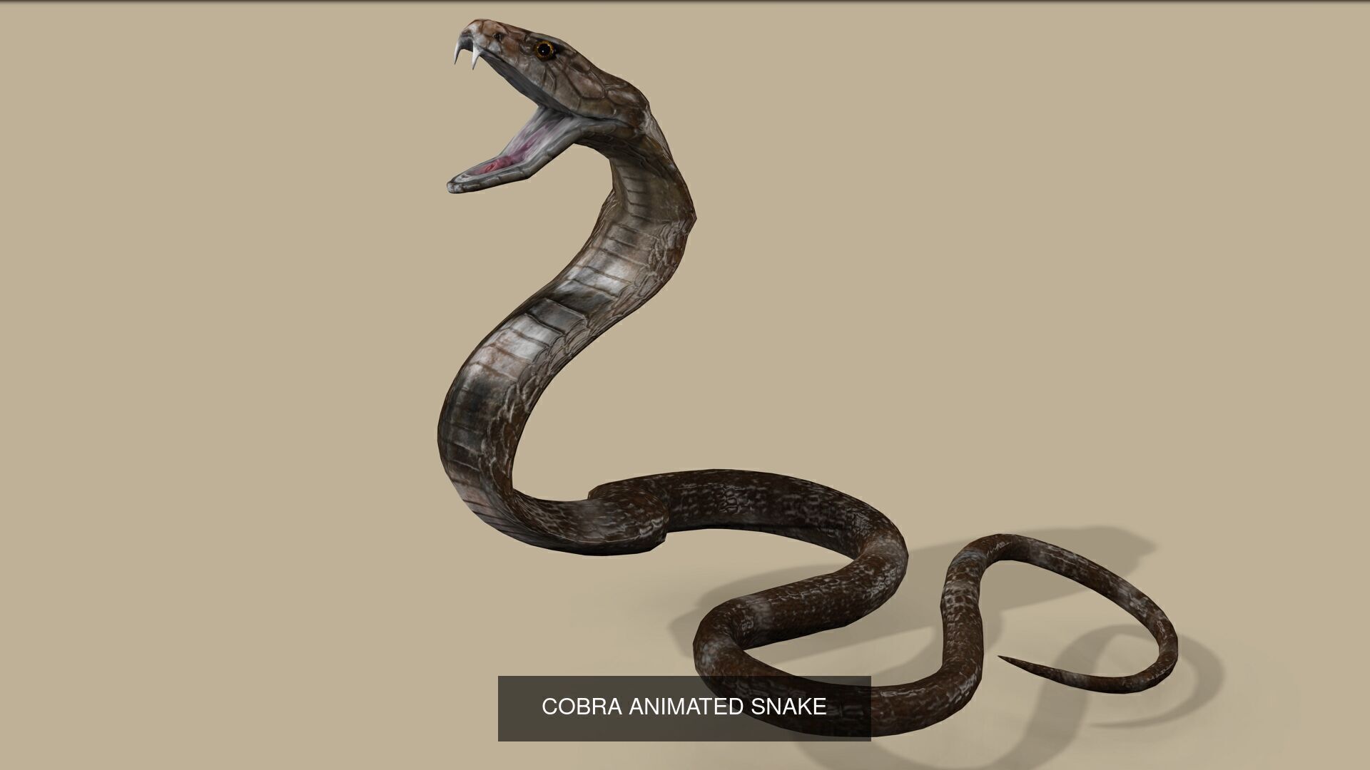 3 PACK OF SNAKES 3D Model Collection_4