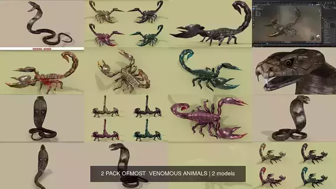 2 PACK OFMOST  VENOMOUS ANIMALS 3D Model Collection