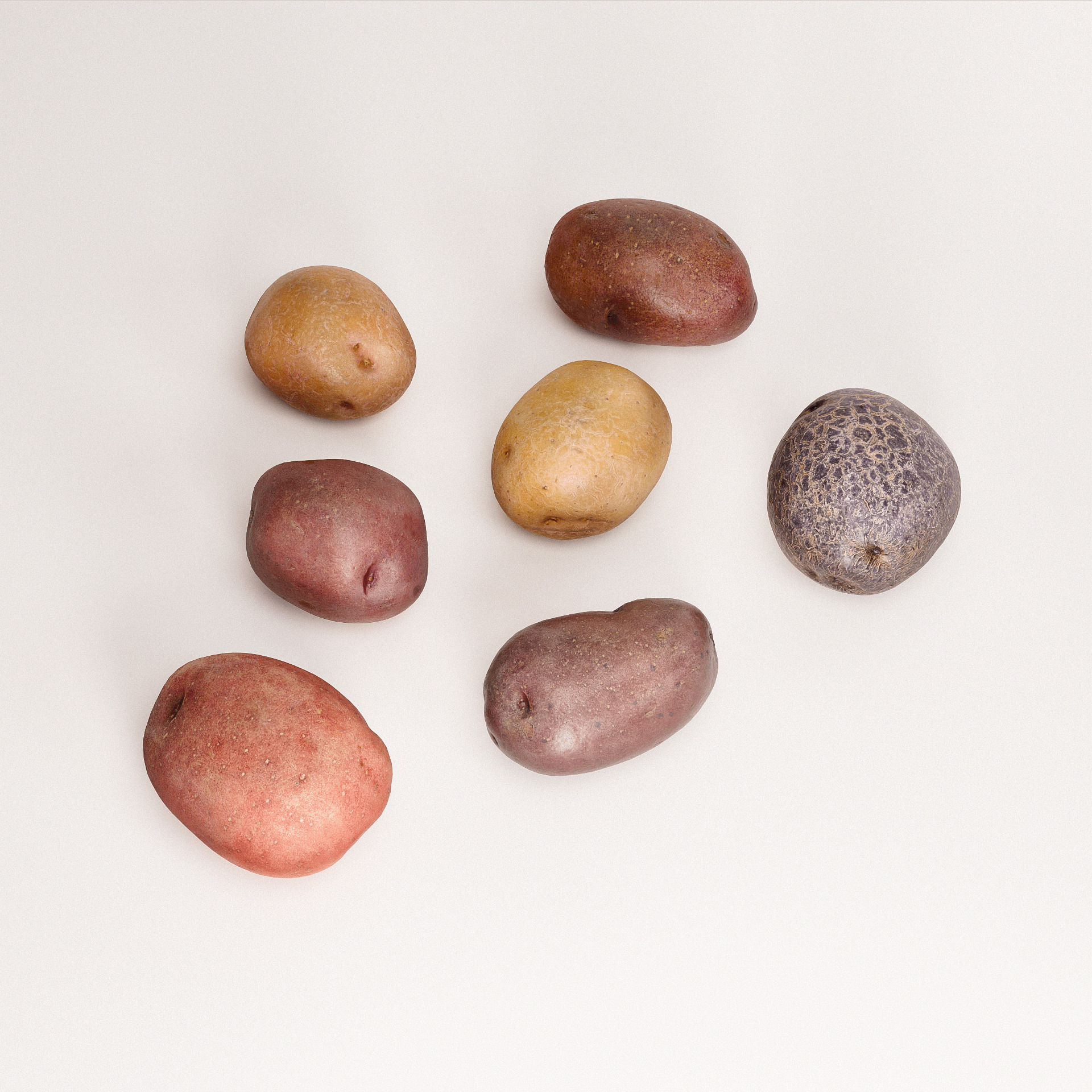 Rainbow Potatoes Set Low-poly 3D model_4